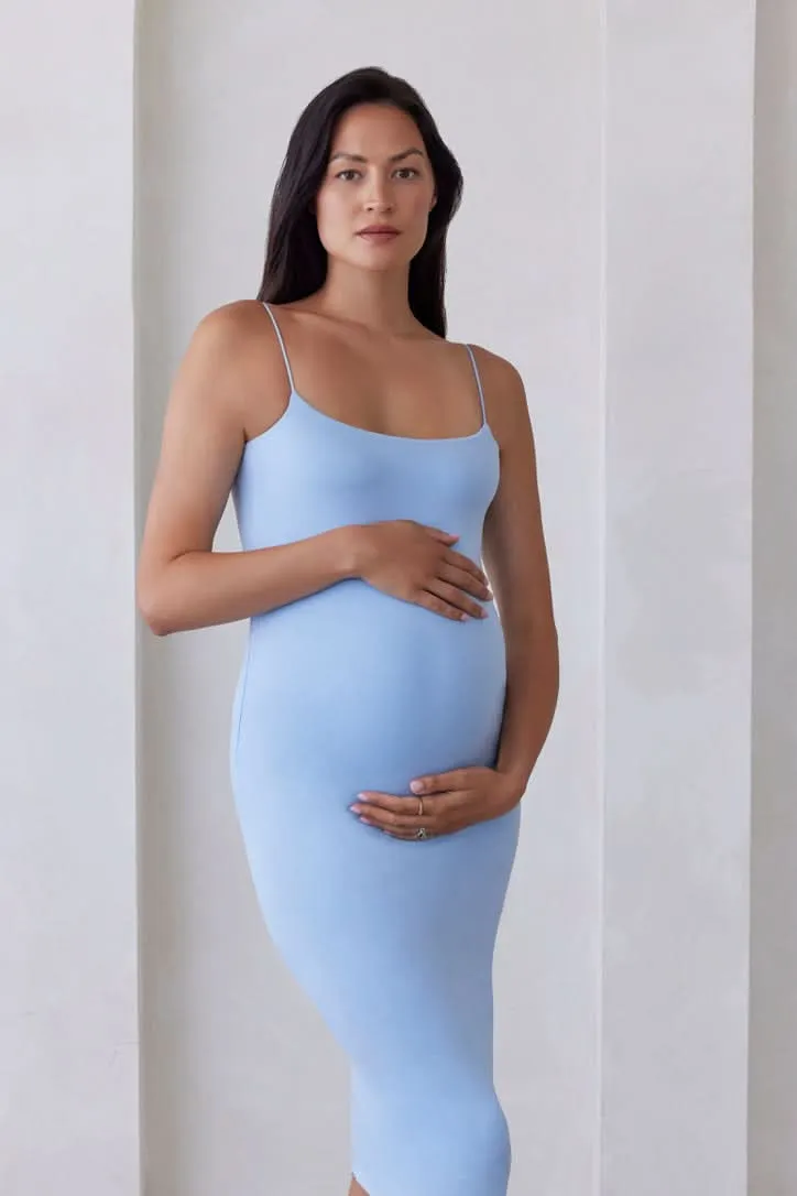 The Brigitte Maternity Dress